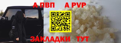 стаф Берёзовский