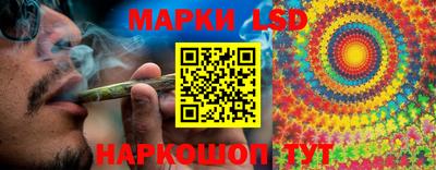 стаф Берёзовский