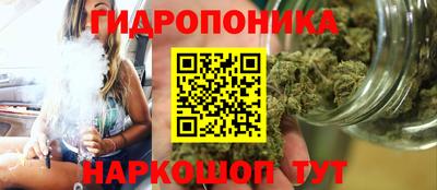 кокс Бийск