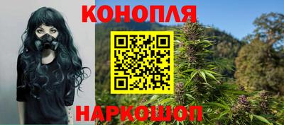 мдпв Вышний Волочёк
