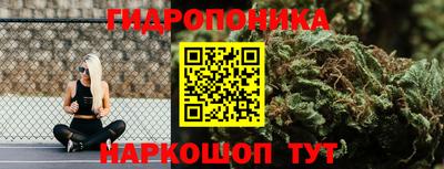 кокс Бийск