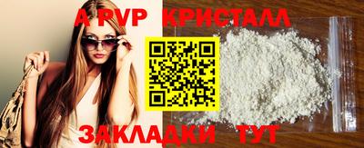 стаф Берёзовский