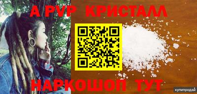 стаф Берёзовский