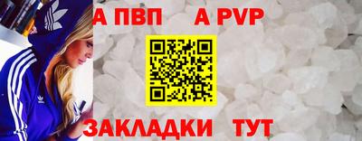 стаф Берёзовский