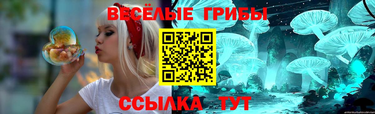Галлюциногенные грибы Psilocybine cubensis  Вход с VPN  Ишим 