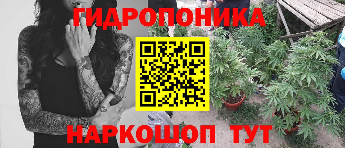 Канабис Ganja Ишим